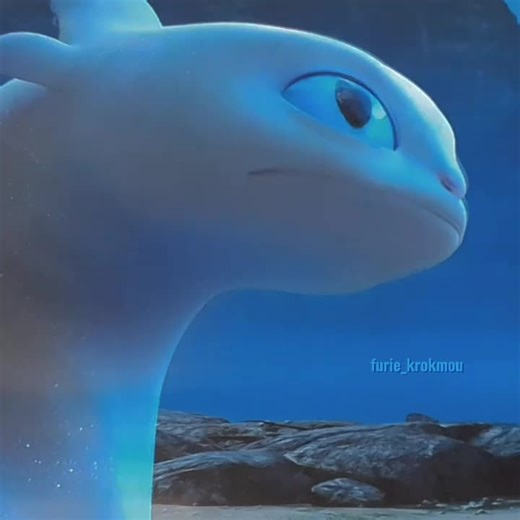 Animated Dragon Adventures: Toothless and Friends