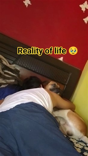 Osho #love #viral #shorts #osho #shortvideo #youtubeshorts #ytshorts #status #reels #quotes #yt #dog