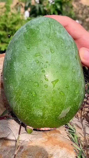 a perfect level of ripeness inside #CapCut #mango