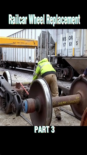 Exploring the World of Railroad Life