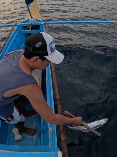 Long Line Fishing Techniques for Snapper and Trevally