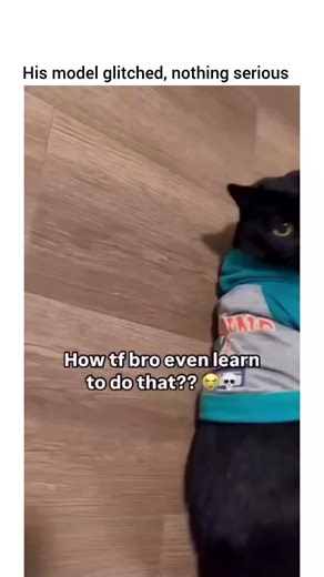 Cats😻 Kitty😸 Purr🐈 on Instagram: "It's the first thing that makes me laugh of the day 😂😅"