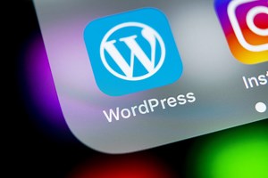 【WordPress初心者卒業！】欲しい情報をデータベースから取得する方法