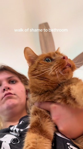 OJ loves stepping in his poop! #seniorcat #catsoftiktok #orangecats #cats #orangecatsoftiktok