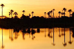 Institucional – Ecoa