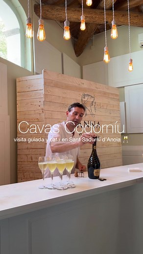 Visita a Cavas Codorníu: Experiencia 10/10