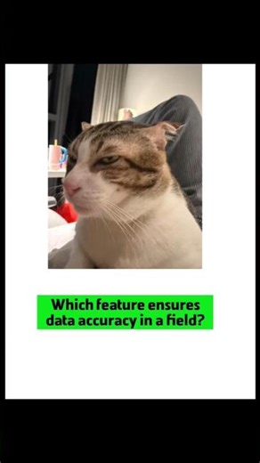 What is Data Validation? Ensure Data Accuracy Easily