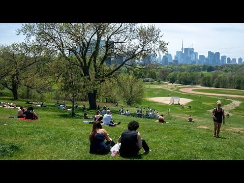 Green spaces in cities save lives and dollars: study