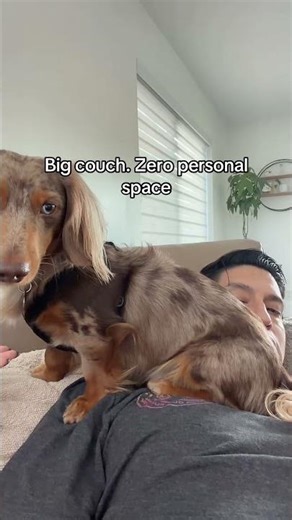 Big couch