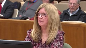 Former Greece official Michelle Marini pleads guilty to grand larceny