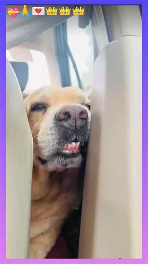 Mera Bhai ☺️❤️#shorts #anantrastogi #trending #leo #trending