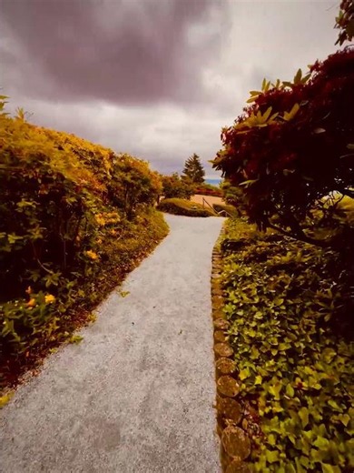 🌲🍁 A Peaceful Evening Walk in West Vancouver 🇨🇦