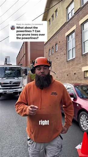 Safe Tree Pruning Around Powerlines: Best Practices