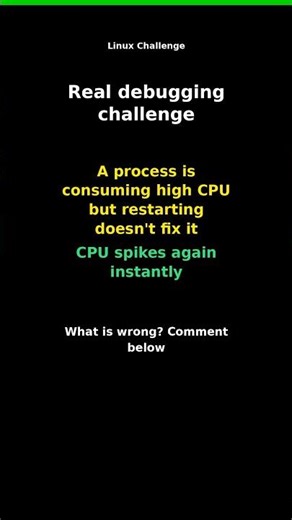 Linux Challenge: High CPU Issue