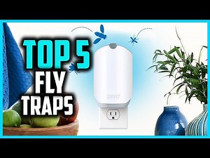 ✅Top 5 Best Fly Traps in 2024
