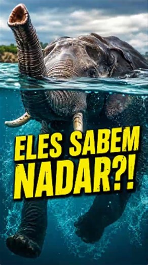 Animals That Can Swim and You Didn't Know