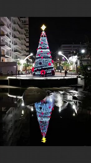 1.2K views · 24 reactions | Acapulco.com on Reels | Facebook