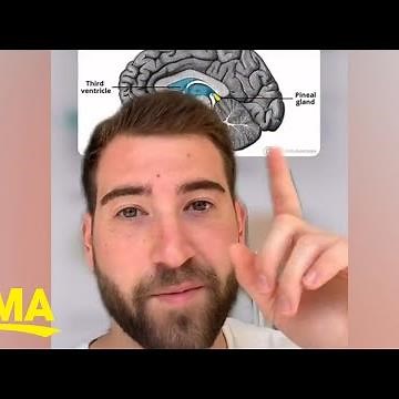 Neuroscientist reveals the truth about the third eye l GMA