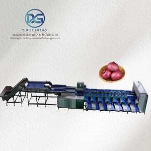 [Hot Item] Tray-Type Weight Sorter, Onion Sorting Without Damaging The Products