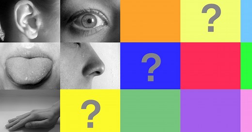 Think you have only 5 senses? You've actually got about 14 to 20.