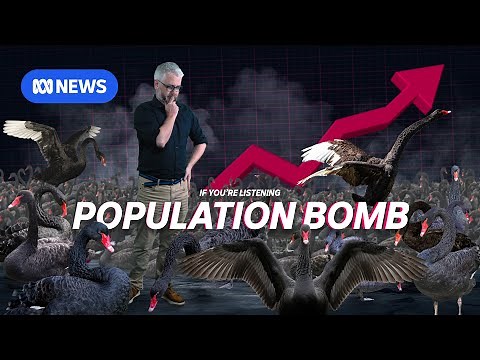 We Were All Wrong About Overpopulation | Black Swans 1 | If You're Listening