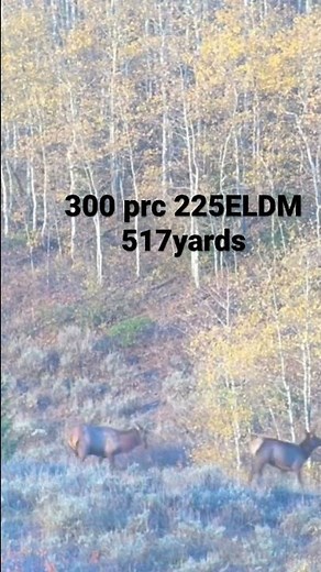 300 prc vs elk