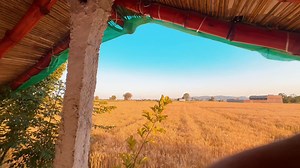 4.9K views · 92 reactions | آرمان خو چرتہ تلے ندے | Rang Studio | Facebook