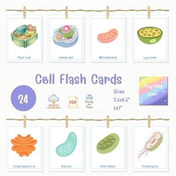 Cell Organelles Flashcards for Kids – Cute Biology PDF Set, Science Learning Res