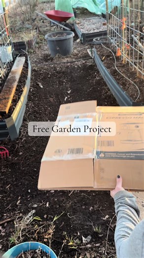 Transform Cardboard Boxes into Garden Benefits