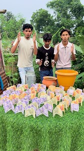 Kisko Konsa Bartan Mila Jyada kisme uthega note | Ms Best Vlogs