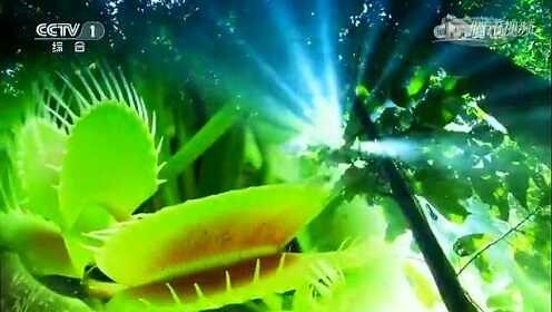 人与自然：大迁徙（上）