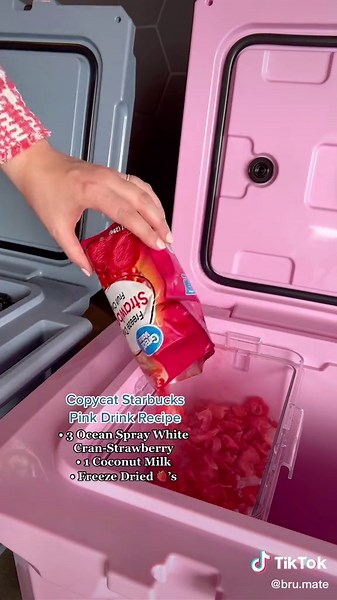 Battle of the BrüTanks: Denim vs. Blush Comparison