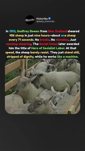 When the World's Fastest Sheep Shearer Broke Physics #shorts