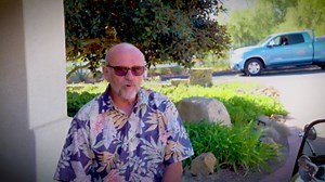 I built 10 bumper cars - and they're street legal