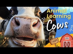 Cow Learning Videos 🐄 | Cows Fun Facts 🐮 | Cows Mooing 📣 | Milking Cows 🥛 | Cow Videos for Kids 🧐
