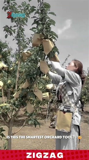 Portable & Practical Fruit Bagging Tool for Faster and Smarter Orchard Harvest Preparation