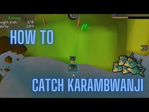 OSRS How to catch karambwanji