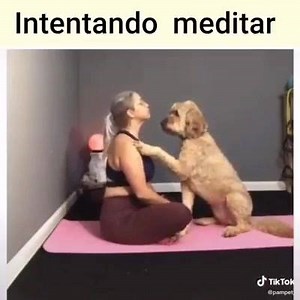 7.2K views · 263 reactions | Canine Pet Spa & Boutique on Reels | Facebook