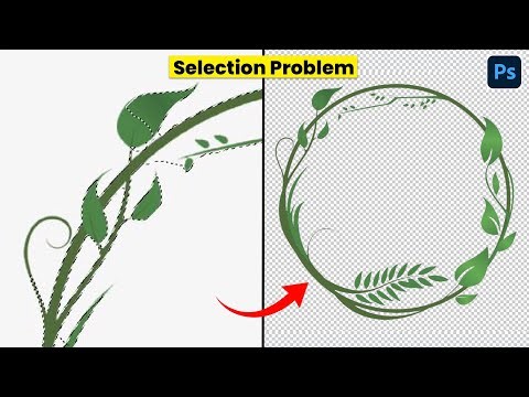 How to Solve Detail Selection Problem in Adobe Photoshop