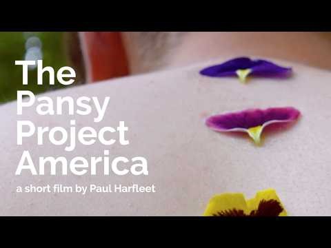 The Pansy Project America - A short film by Paul Harfleet