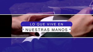 Este lunes le presentaremos el especial "Lo que vive en nuestra manos". Al ser las 8:00 p.m. en #7Días ➡ goo.gl/bEF9ck | 7 Días
