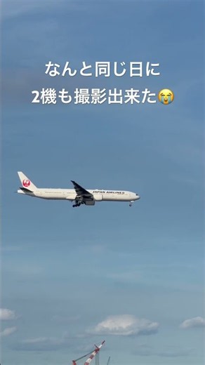 京浜島つばさ公園の特等席！JAL B777-300ERの着陸シーン！ #Shorts
