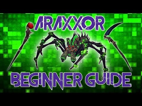 A Beginners' Guide to Melee Araxxor | Runescape 3 | 2017