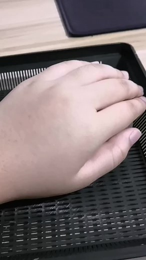 sam likes frogs on TikTok