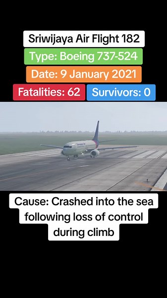 Aviation Disasters: Sriwijaya Air Flight 182 Crash Investigation