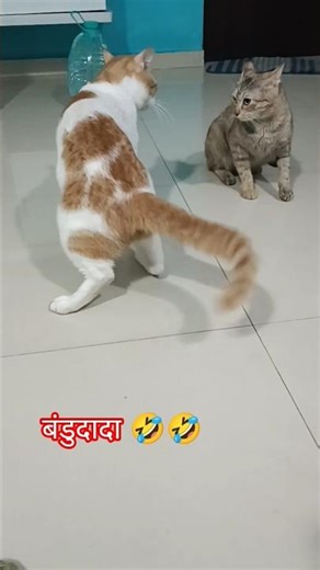 बंडुदादा 🤣🤣🤣🤣#viralcomedyshort #khot bolaych ny#comedy#funny#shorts #utube #