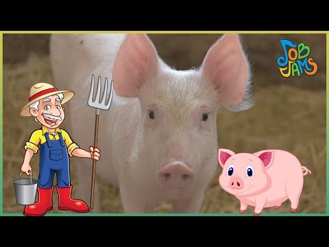 Old MacDonald Had a Farm | Job Jams | Learning Music for Kids