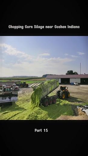 Chopping Corn Silage near Goshen Indiana #corn #celina #dairy #mowing #chopping