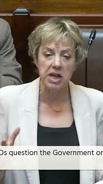 US Visas: Ivana Bacik shows picture of bald JD Vance in the Dáil during J1 speech