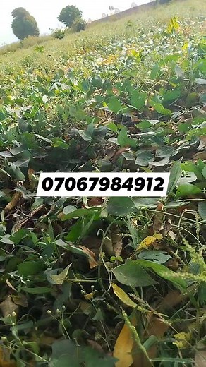 5.2K views · 18 reactions | So this year, I started my farm work...